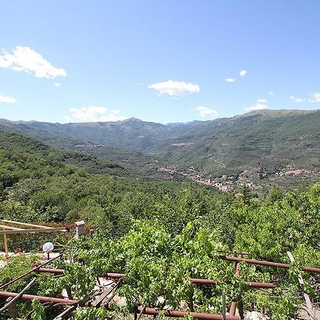 Agriturismo Nonni Devia Lucinasco Exteriér fotografie